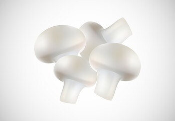 Mushroom creative design vector illustration. Floral elements