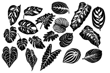 set of silhouettes of leaves