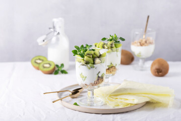 Homemade yogurt with fresh kiwi, muesli and mint