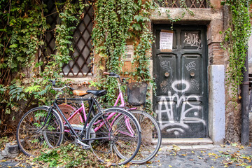 Bicycles in a typical Italian courtyard overgrown with greenery