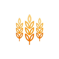 Wheat logo design. Oat symbol vector.