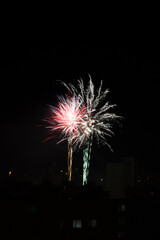 fireworks in the night sky