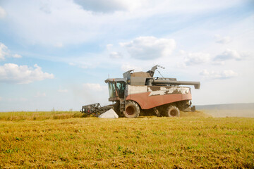 Fototapeta premium old tracktor plows the field. harvester harvests wheat from a sown agricultural field