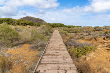 long wooden boardwalk leads through a fragile sand dune coastal ecosystem