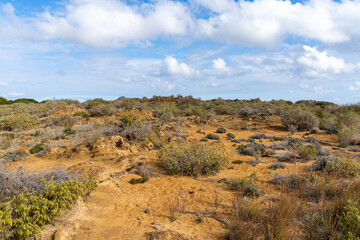 view of the sand dune ecosystem in Calblanque Regional Park in southern Murcia