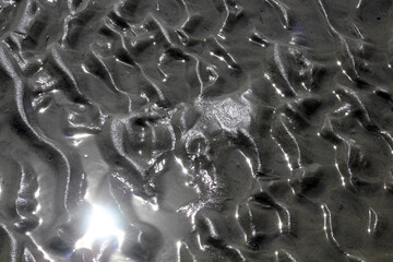 Sandwatt bei St. Peter Ording in Nahaufnahme imt Sonnenspiegelung