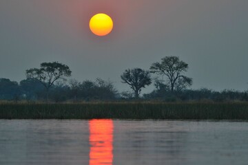 Beautiful sunset in the Okavango delta, Botswana
