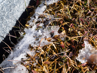 寒い冬の時期　霜の降りた地面と落ち葉と土