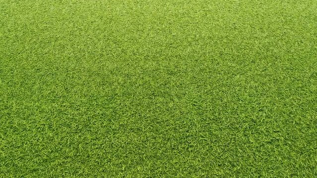 Rain drop on Artificial grass lawn texture. Artificial Turf Background. Greening with an artificial grass