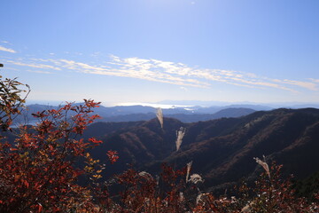 秋の風景
