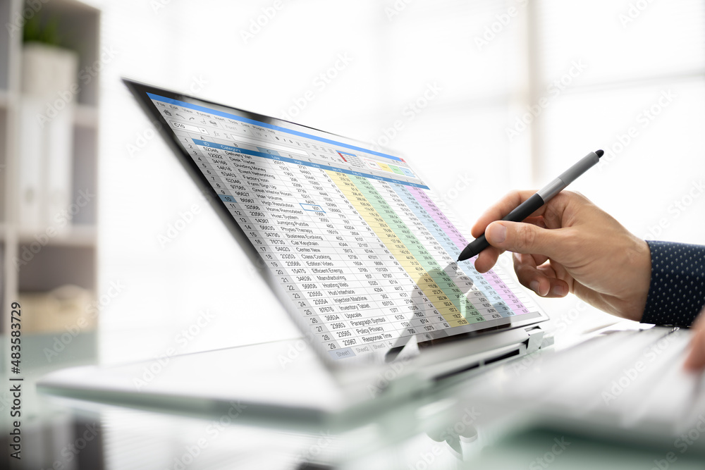 Poster Electronic Spreadsheet Analyst Or Auditor Using Software