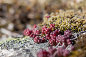 Fotos de paisagem perto da torre da Serra da Estrela