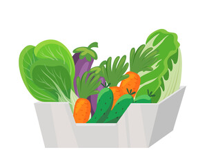 Tray with washed vegetables seasonal harvest farm vitamins snack for cooking salad vector flat