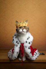 Fototapeten cute cat wearing king costume and crown looking majestic and royal with copy space © FurryFritz