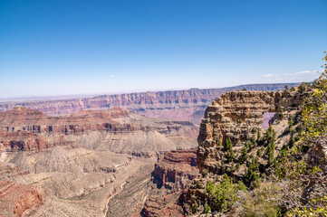 Fototapeta na wymiar Grand Canyon on a Summer Day in Arizona at the North Rim