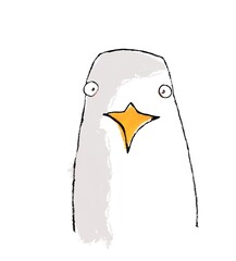 hand drawn illustration of funny seagull isolated on white