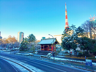 雪が積もった増上寺と東京タワー（東京都港区）※2022年1月