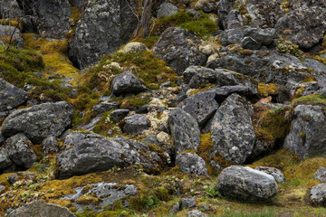 huge stones overgrown with green moss