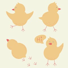 set with little cute chicks flat vector illustration