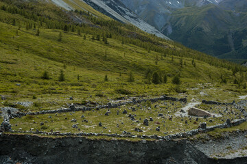 Fototapeta na wymiar the attraction of Altai is the stone city
