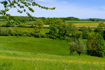 Landschaft im Naturschutzgebiet Hohe Wann zwischen Zeil am Main und Krum, Landkreis Hassberge, Unterfranken, Franken, Bayern, Deutschland