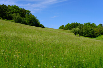 Landschaft im Naturschutzgebiet Hohe Wann zwischen Zeil am Main und Krum, Landkreis Hassberge, Unterfranken, Franken, Bayern, Deutschland