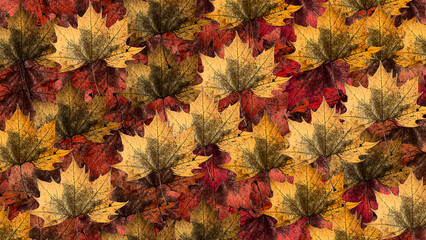 Naklejka na ściany i meble Background with colorful autumn leaves