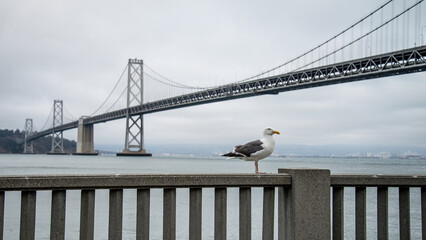 San Francisco Bay bridge. Also known as the San Francisco - Oakland Bay Bridge, is a complex of bridges spanning San Francisco Bay, California, United States of America