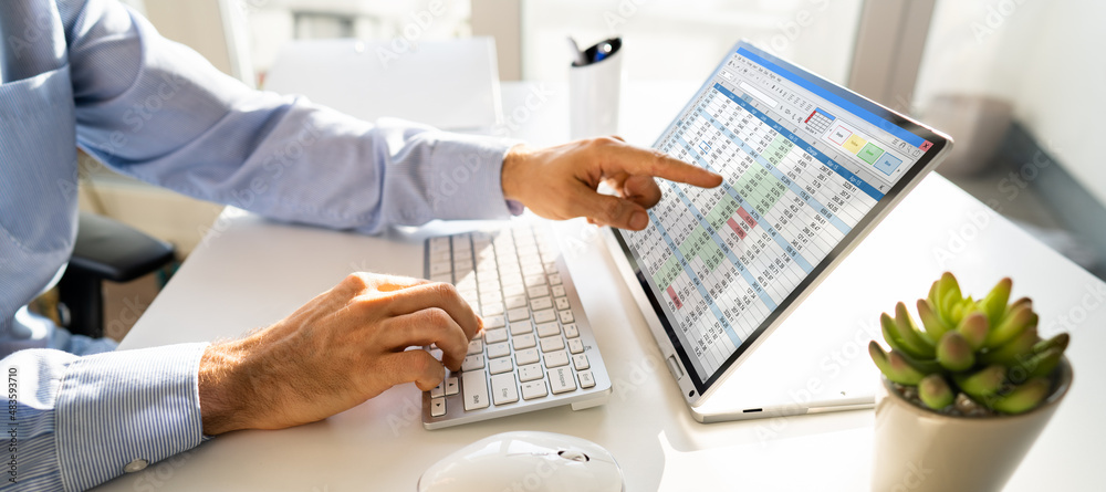 Poster Electronic Spreadsheet Analyst Or Auditor Using Software
