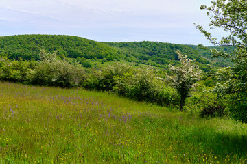 Landschaft im Naturschutzgebiet Hohe Wann zwischen Zeil am Main und Krum, Landkreis Hassberge, Unterfranken, Franken, Bayern, Deutschland
