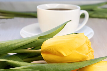 Yellow tulip close-up on the background of a white cup. Holiday concept