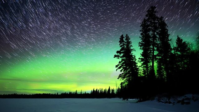 Sky filled with star trails and Northern Lights above a frozen lake with silhouettes of large spruce trees.  
