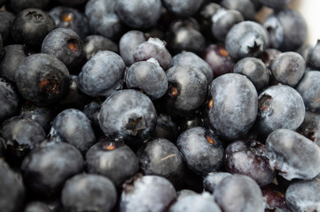 Close-up of blueberries on white background