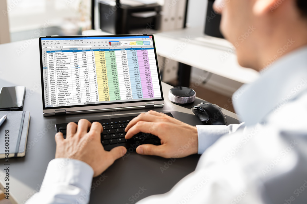 Poster Electronic Spreadsheet Analyst Or Auditor Using Software
