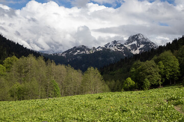 Fototapeta premium alpine mountains and clouds landscape background