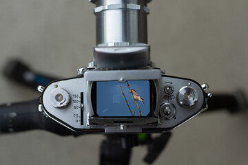 Analoge Fotokamera EXA