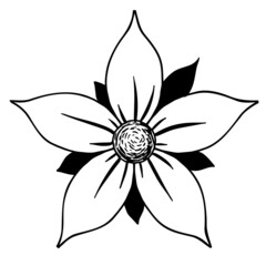 Vector hand drawn flower icon in strokes isolated on white background