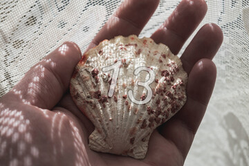 Shell held in the palm. Numerological significance - number 13.