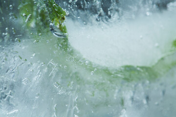 Selective focus, overlay background Natural crystal clear melting ice and fresh green fern leaves. Macro