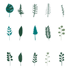 Vector elements. Set of green plant leaves.