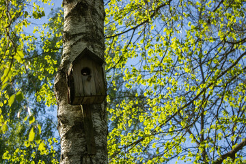 Wooden bird house hanging from tree handmade. Juicy green leaves on the background the blue sky. Picturesque nature in spring on a sunny day.