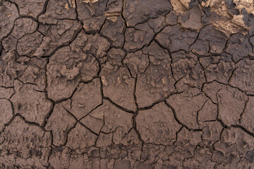 Dry cracked soil. Drought after rain. Ground texture. Deep cracks.