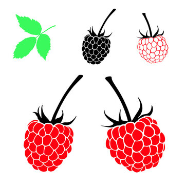 Silhouette of red raspberries