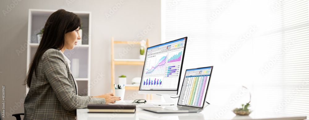 Poster analyst employee working with spreadsheet