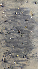 Black sand beach with shell at Nang Thong Beach at Khao Lak Phang nga Thailand - Black nature abstract background 