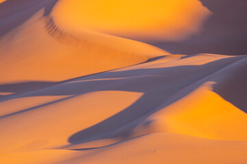 Algerian Sahara sand dune on sunset, shape, shades and light.