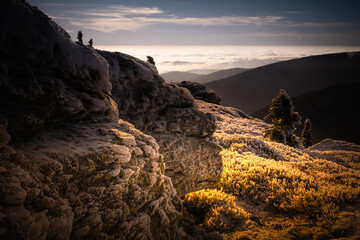 Scenic landscape with spruce trees covered with rime, view from a mounatin range to the valley filled with low clouds during temperature inversion. Jeseniky.Czech republic. .