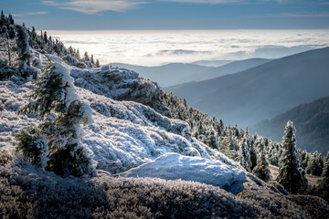 Scenic landscape with spruce trees covered with rime, view from a mounatin range to the valley...