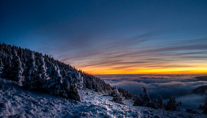 Scenic landscape with spruce trees covered with rime after sunset, view from a mounatin range to the valley filled with fog and low clouds during temperature inversion. Jeseniky.Czech republic. .
