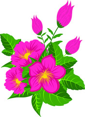 Bouquet with red and pink zinnia isolated on white background